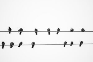 Photo "The complete guide to building a strong professional network"