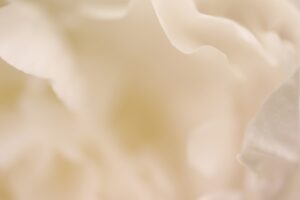 Photo smoothie proteic