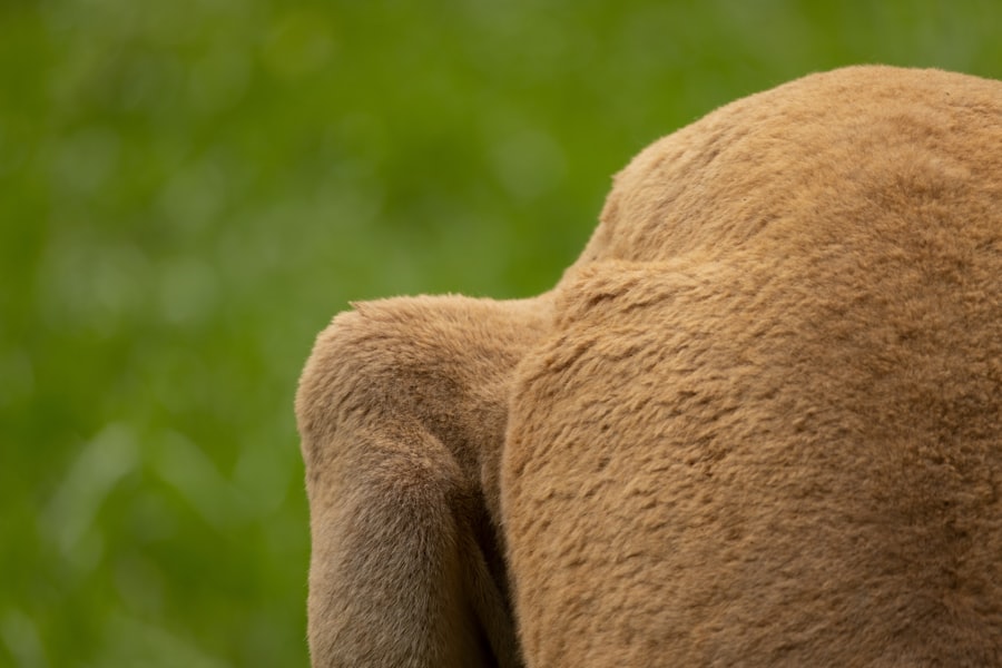 Photo itchy shoulder