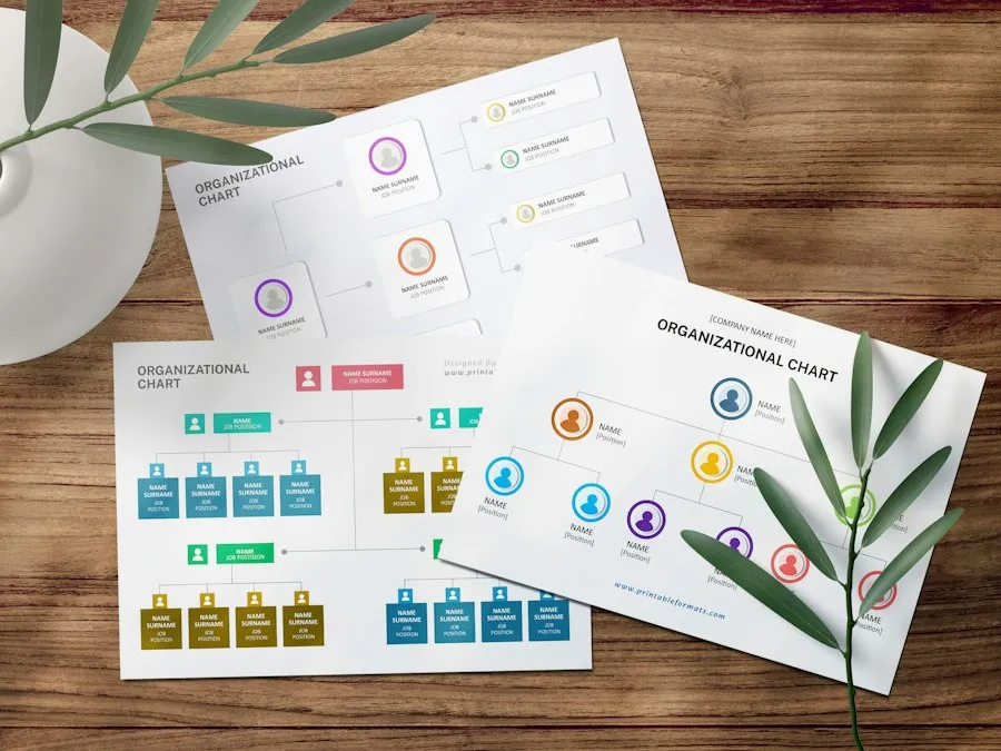 Photo education concept infographic
