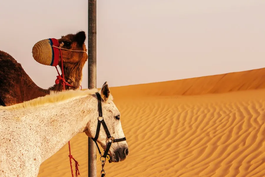 common mistakes domestic tourism